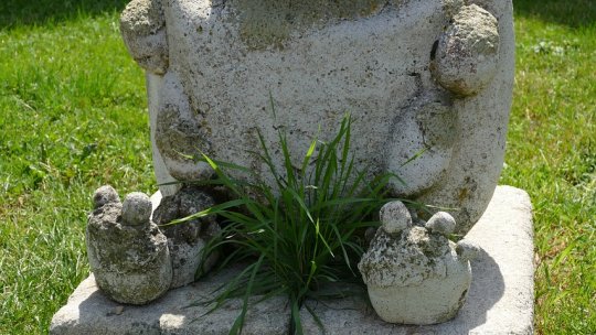 Furunculul pubian: simptome și soluții