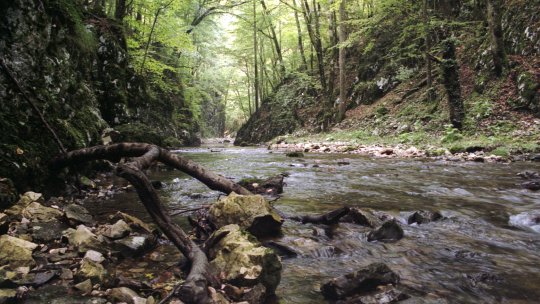 Turbăriile din Semenic, un nou traseu tematic în proiect pentru 2024