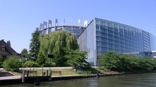 Cum soluționează petițiile Parlamentul European