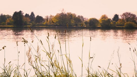 Cod portocaliu de inundaţii pentru râuri din 3 judeţe