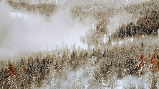 ANM: Informare de ger în toată ţară, până joi dimineaţa;Cod galben de vânt în opt judeţe, marţi