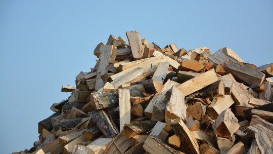 Romsilva pune la dispoziție 2 milioane de metri cubi de lemn de foc pentru iarna aceasta