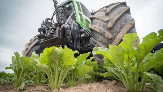 Prognoza agrometeorologică: Toamna aduce condiții optime pentru lucrările agricole, în toată ţara