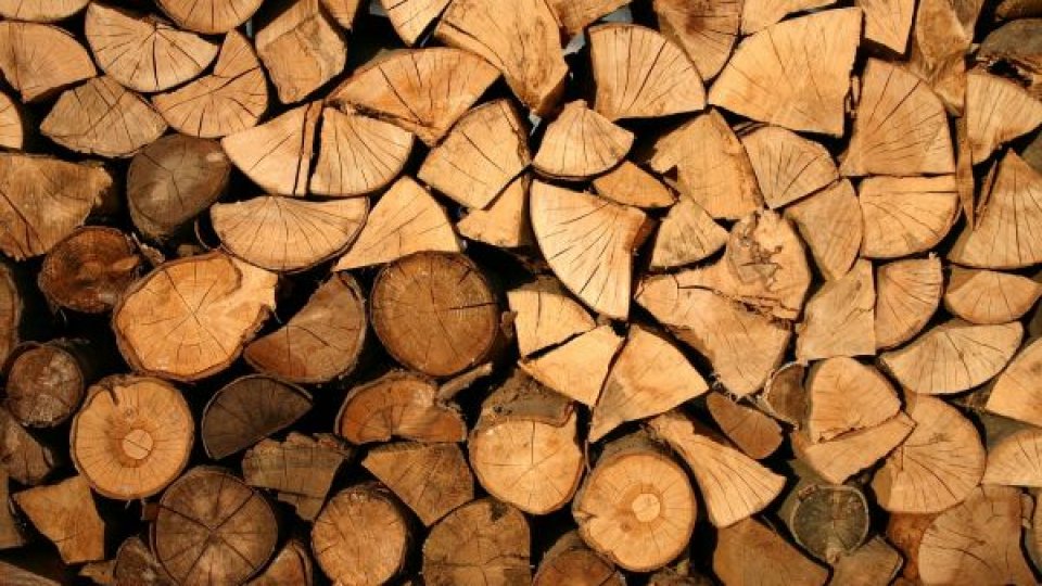 Stocuri de lemn de foc disponibile la Romsilva pentru sezonul rece