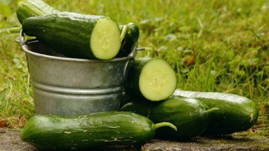 Ajutor pentru susţinerea producţiei de legume cultivate în spaţii protejate
