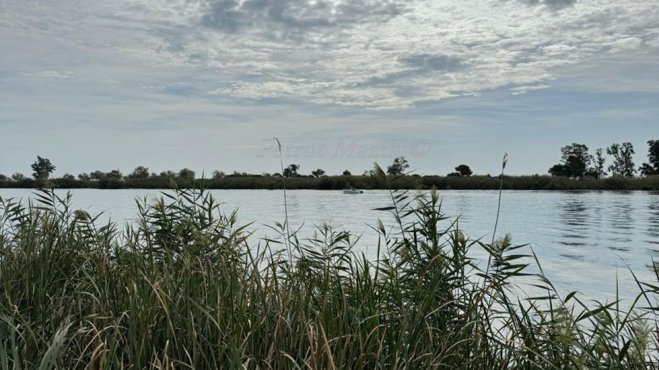 Sancțiuni drastice pentru accesul auto nepermis în Delta Dunării