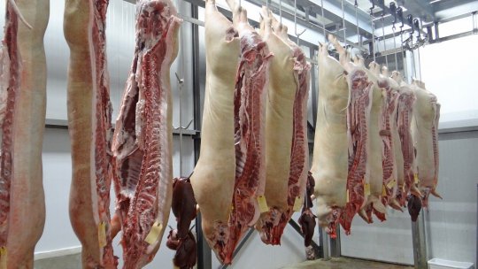 Numărul sacrificărilor şi producţia de carne au crescut la toate speciile de animale şi păsări, în septembrie