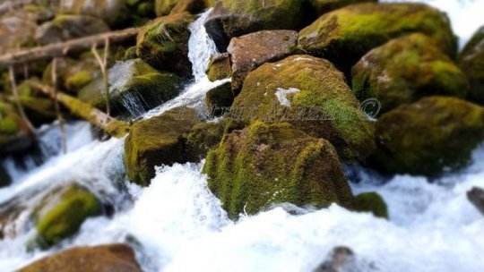 Criza apei în Europa, soluția poate veni prin agricultură sustenabilă și reconstrucția ecologică