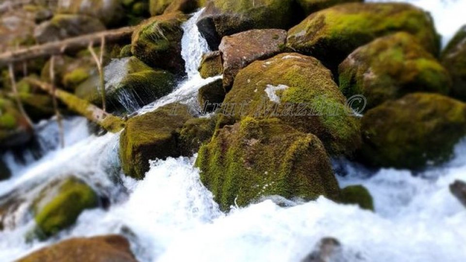 Criza apei în Europa, soluția poate veni prin agricultură sustenabilă și reconstrucția ecologică