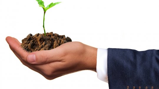 Regenerarea fondului forestier - o prioritate pentru silvicultorii bănăţeni