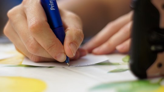 ICCJ: Codul administrativ nu permite acordarea angajaţilor, prin hotărâre de consiliu local, de sporuri şi facilităţi