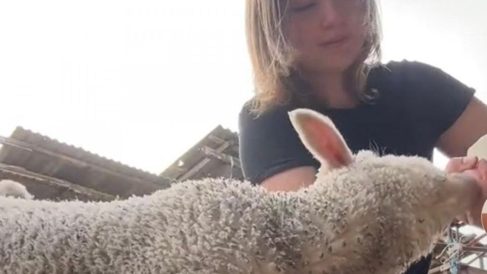 Vivien Farcaș, tânăra fermieră din Bihor care conduce o fermă modernă și inspiră o nouă generație de agricultori