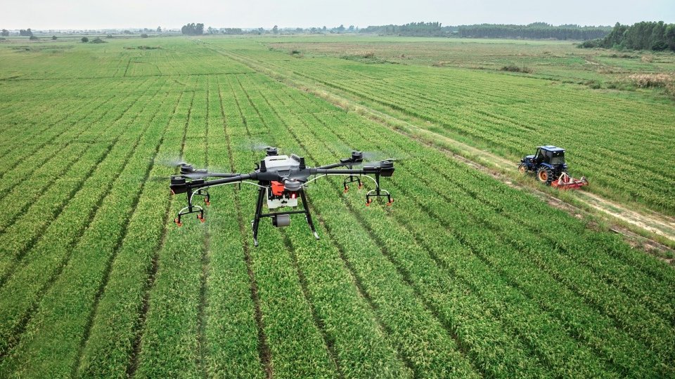 Tinerii fermieri din Agrinnovator revoluționează agricultura românească