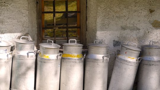 România aduce mai mult lapte brut din străinătate. Importurile au crescut masiv în 2024