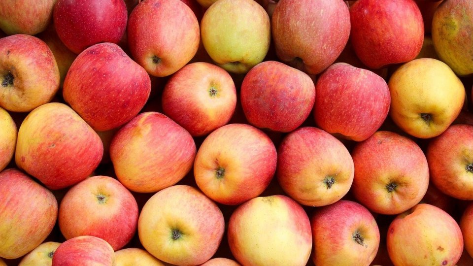 ANSVSA - Controale oficiale în depozitele de legume şi fructe