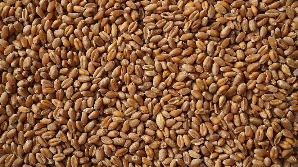 Europa are un excendent confortabil, în ce privește comerțul agroalimentar în regiune