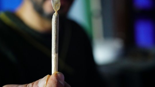 Argeş: Un bărbat care vindea canabis consumatorilor din judeţ, reţinut de DIICOT