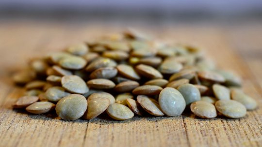 Reducerea deficitului de proteine vegetale al Uniunii Europene