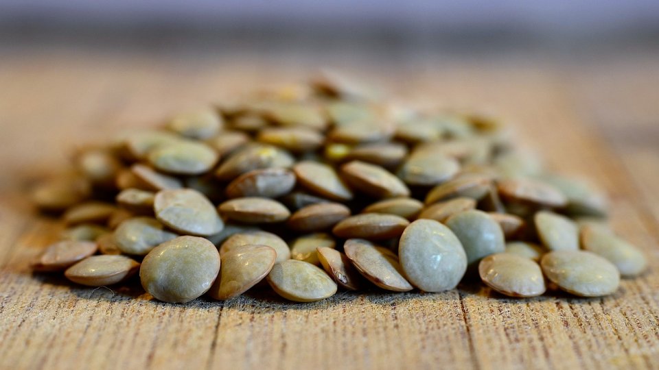 Reducerea deficitului de proteine vegetale al Uniunii Europene