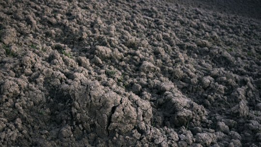 Comisia Europeană propune un ajutor de 120 de milioane de euro pentru fermierii afectați de fenomene meteorologice nefavorabile în Bulgaria, Germania, Estonia, Italia și România