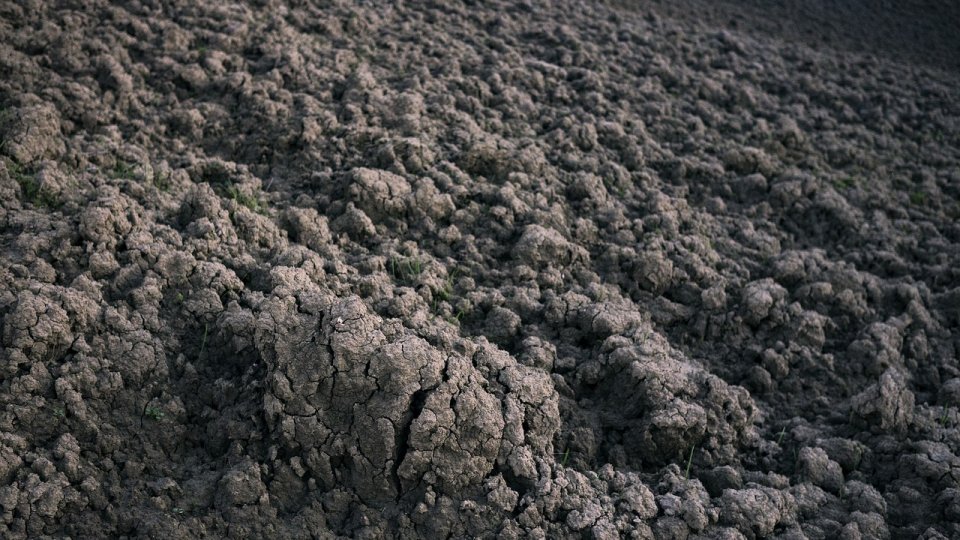 Comisia Europeană propune un ajutor de 120 de milioane de euro pentru fermierii afectați de fenomene meteorologice nefavorabile în Bulgaria, Germania, Estonia, Italia și România