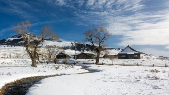 Cod portocaliu de ninsori în zona montană a 3 judeţe