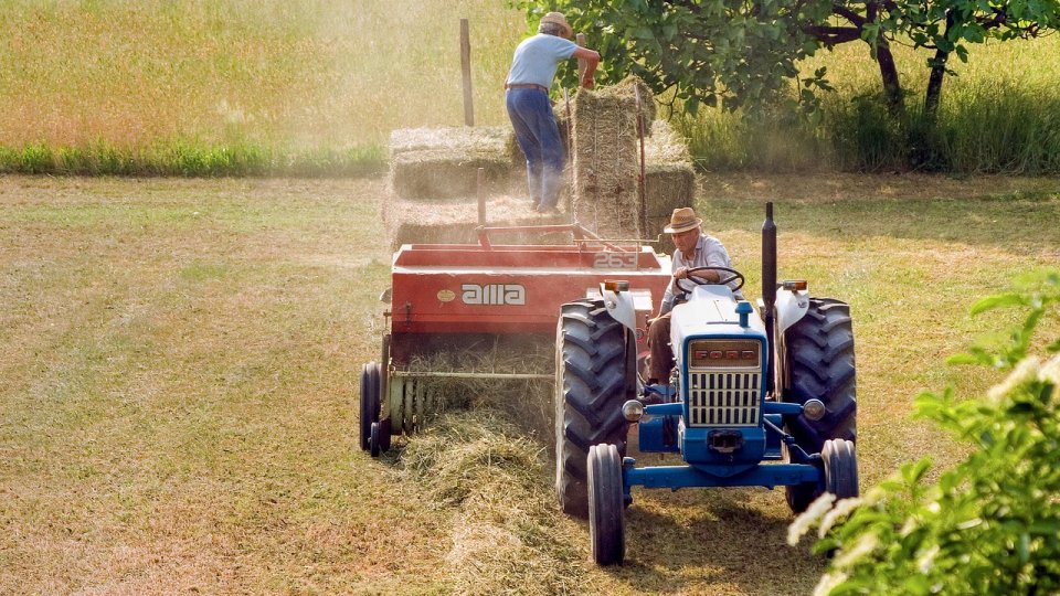 AFIR: Primele proiecte de investiţii în agricultură cu fonduri nerambursabile, selectate în vedere finanţării