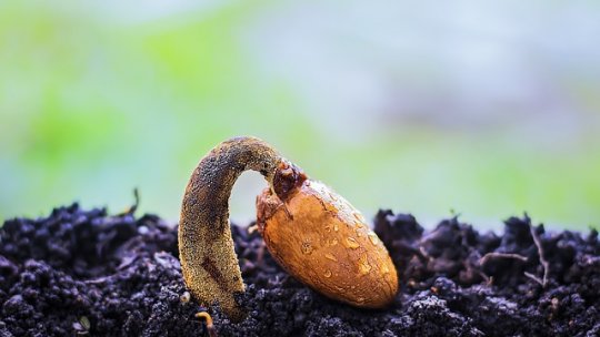 Calendarul lucrărilor agricole în luna Februarie