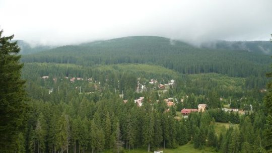 Locuitorii din Odorheiu Secuiesc, îndemnaţi să-şi cureţe grădinile pentru ca urşii să fie observaţi rapid