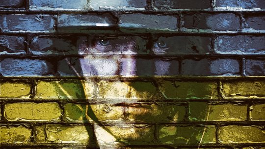 Şeful Armatei Române va prezenta un raport membrilor CSAT cu privire la războiul din Ucraina