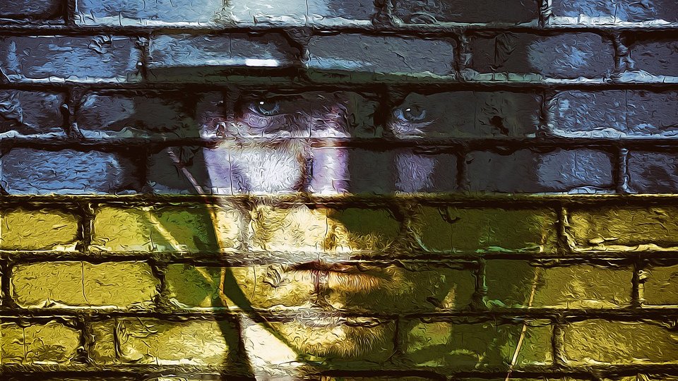 Şeful Armatei Române va prezenta un raport membrilor CSAT cu privire la războiul din Ucraina