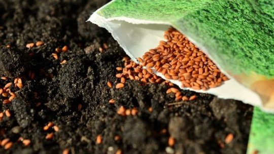 Banca de Resurse Genetice Vegetale Buzău - instituție de importantă majoră, pentru salvarea patrimoniului genetic românesc.