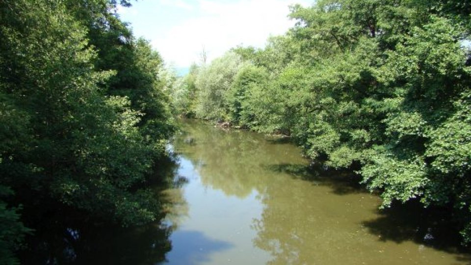 Alertă pe Valea Borod, în judeţul Bihor, privind o posibilă poluare