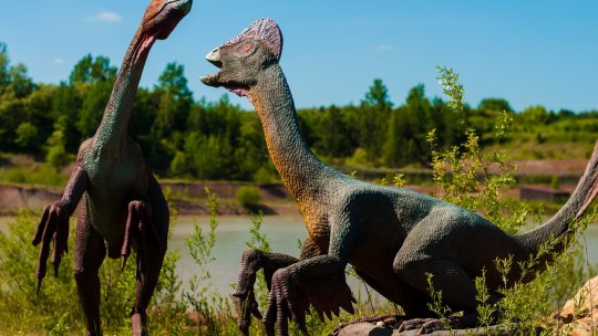 O nouă specie de pterozaur, descoperită pe Insula Skye din Scoţia