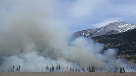 Prahova: Zeci de hectare de teren, afectate de un incendiu de vegetaţie