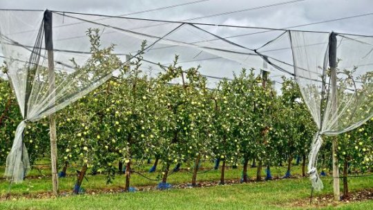 Prima fermă regenerativă din România, inaugurată în județul Dâmbovița