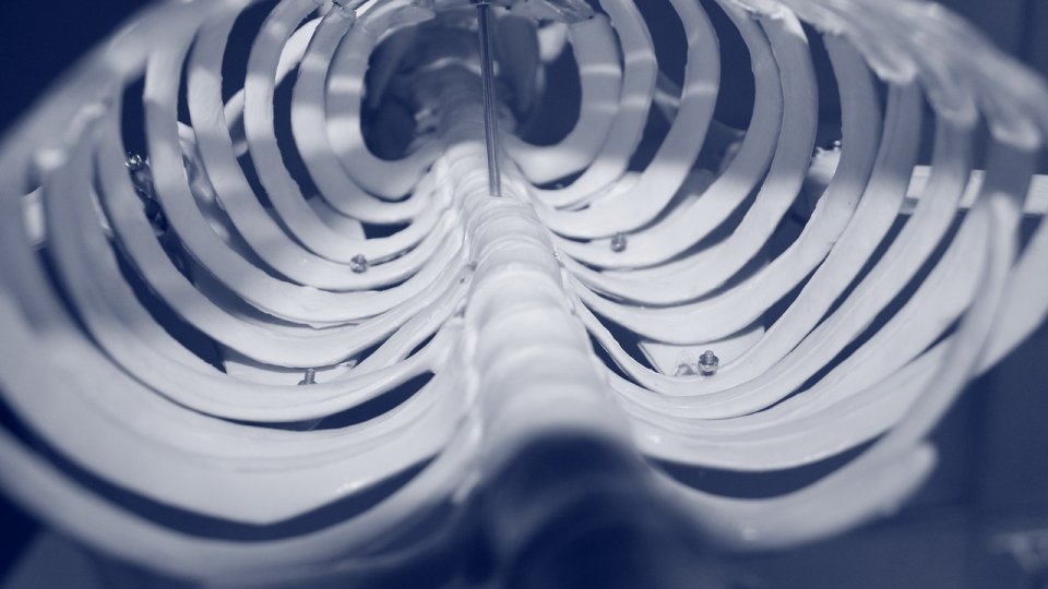 Fracturi ale coastelor