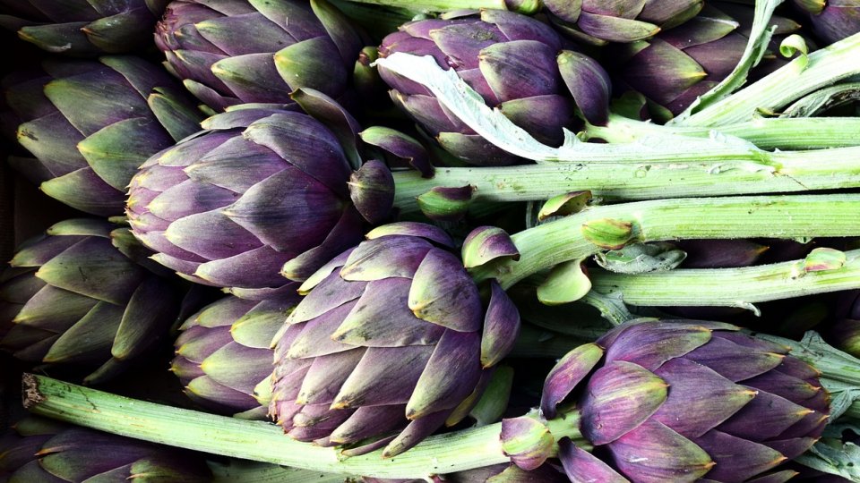 Cum se pregătesc pentru preparare inimile de anghinare