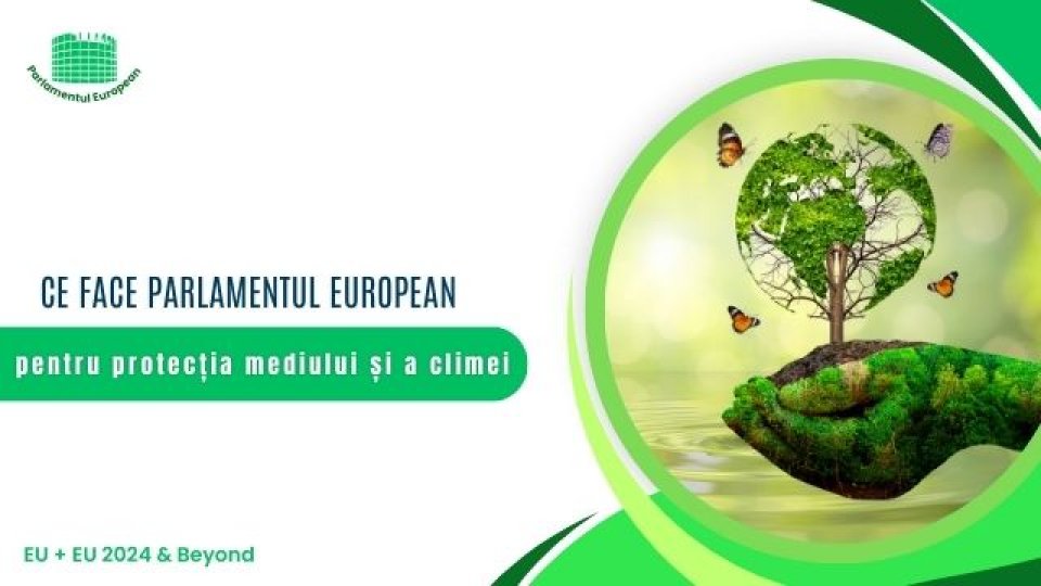Ce face Parlamentul European pentru protecția mediului și a climei
