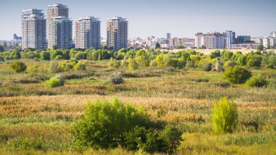 Un nou incendiu în Delta Văcărești: Pompierii acţionează pentru localizarea focului