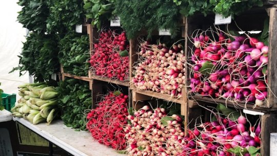 Antioxidanți din ridichi