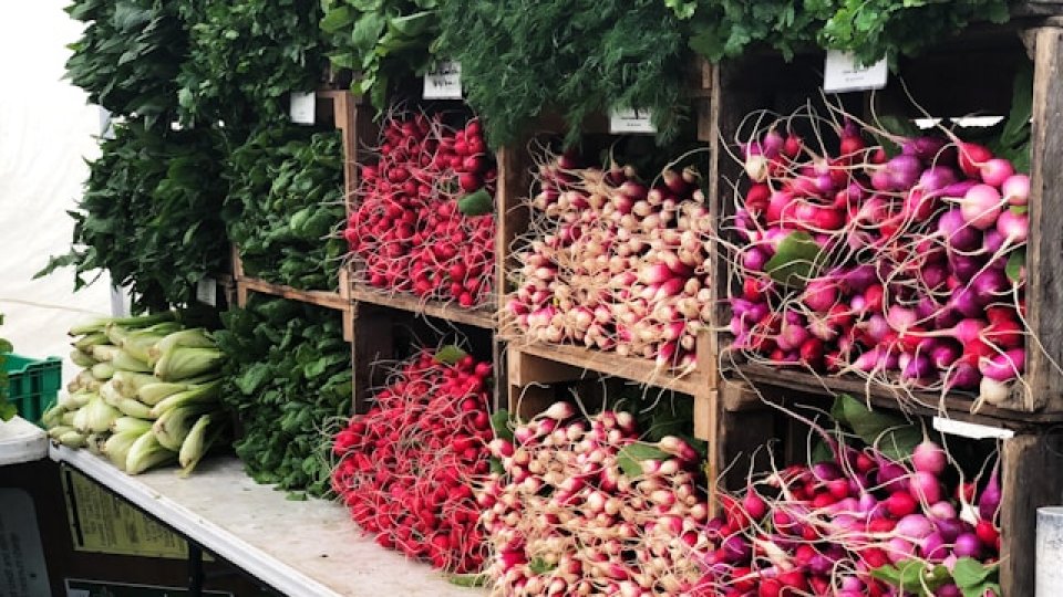 Antioxidanți din ridichi