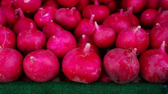 Suc, pe bază de ridichi, pentru protejarea rinichilor