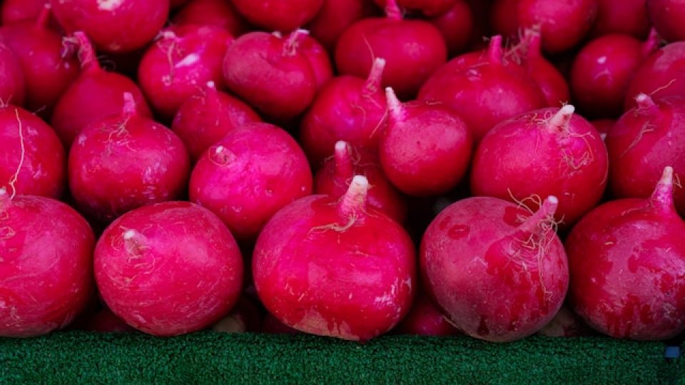 Suc, pe bază de ridichi, pentru protejarea rinichilor