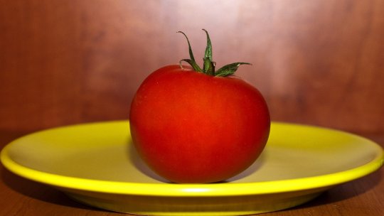 Alimentele organice prezintă un risc mai mare pentru climă?