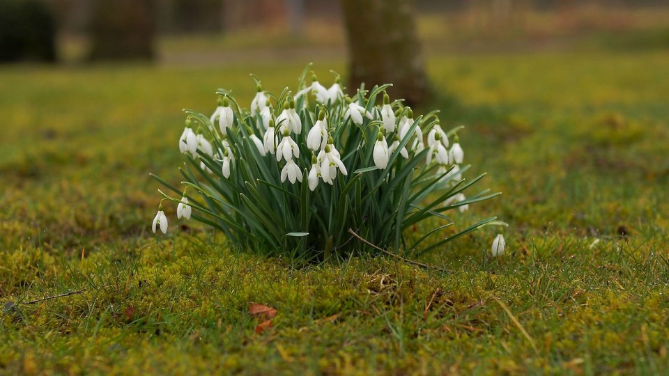 Temperaturile se vor situa peste cele specifice pe tot parcursul lunii martie, potrivit ANM