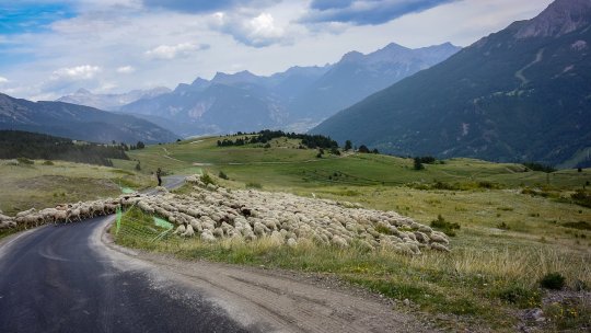 Băciţa Mărioara Băbu - 'Tezaurul uman viu' de pe Drumul Regelui