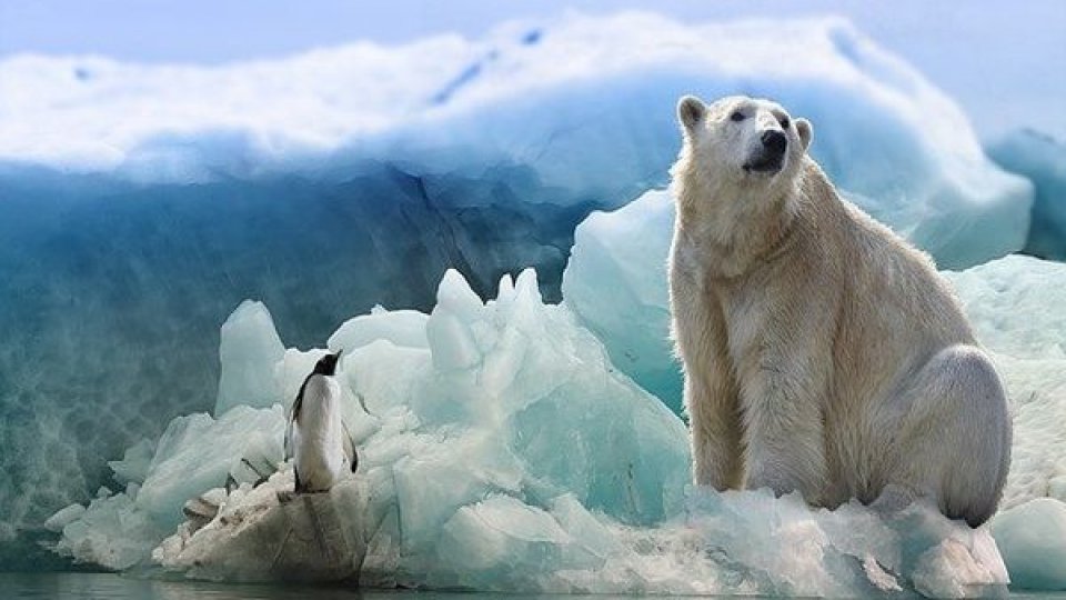 Cercetătorii avertizează că Oceanul Arctic ar putea fi lipsit de gheață la începutul toamnei