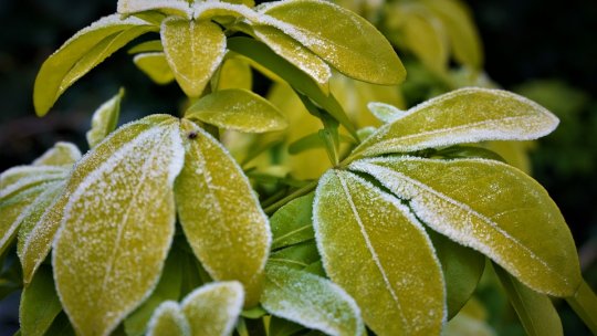 Valul de aer polar va duce la scăderea temperaturilor şi la ploi şi vijelii