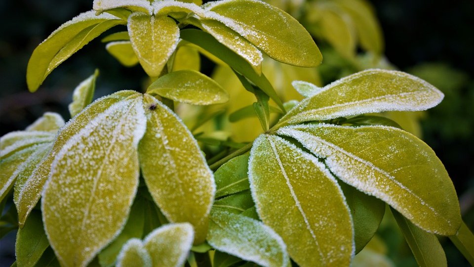 Valul de aer polar va duce la scăderea temperaturilor şi la ploi şi vijelii